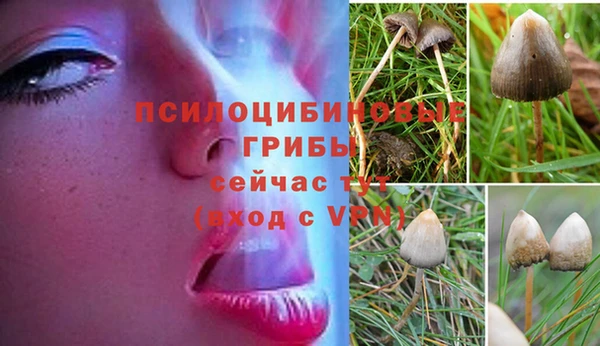 мескалин Бородино