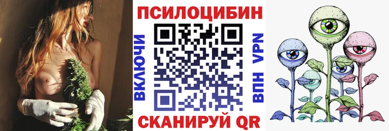 как найти   Кедровый  Псилоцибиновые грибы ЛСД 